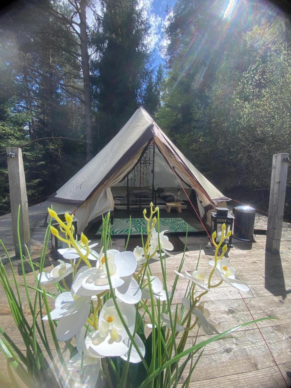 Glamping-dimbo Розкішний намет